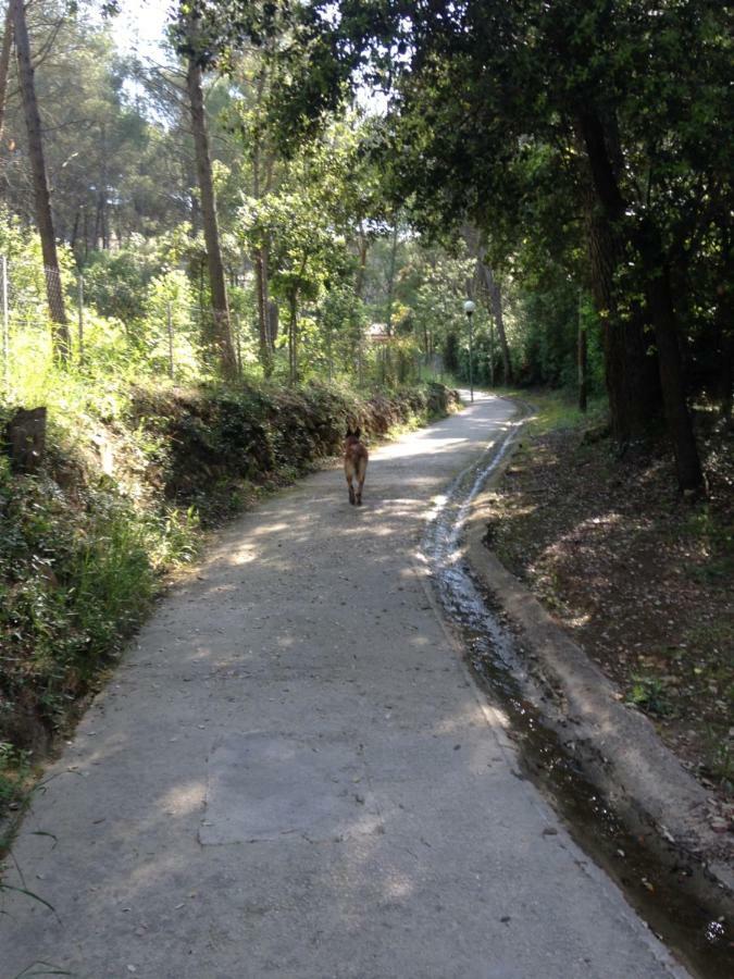סנרי-סור-מר Villa Magali מראה חיצוני תמונה